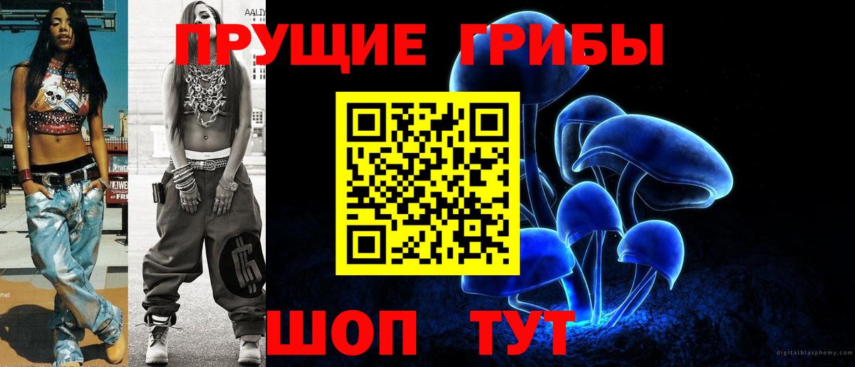 Галлюциногенные грибы прущие грибы Ростов-на-Дону