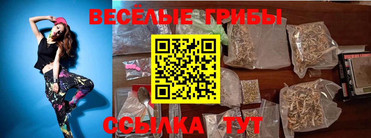 Ростов-на-Дону  Галлюциногенные грибы Psilocybe  Вход с VPN 